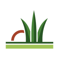 Lubbock Artificial Grass Installation